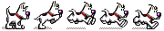 [ divider Image ]