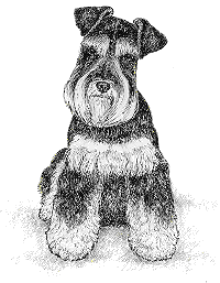 Drawing by Lori