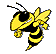 Buzz Graphic