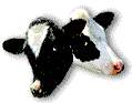 Check out TUCOWS here