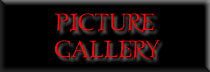 Picture Gallery