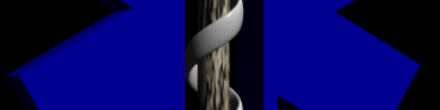 The Ster of Life is the symbol for EMS