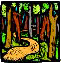 Forest Trail