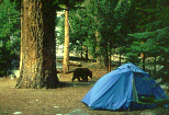 Passeio no Acampamento