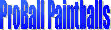 wpe6.jpg (5889 bytes)