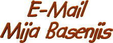 E-mail Mija Basenjis