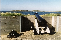 arouscann.jpg (40321 bytes)