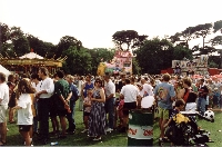 apartypark.jpg (42863 bytes)