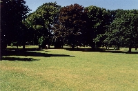asauspark.jpg (41707 bytes)