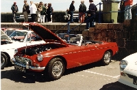 amgbred.jpg (45465 bytes)