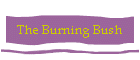 The Burning Bush