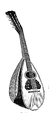 imagine a mandolin - pear-shaped unlike mine