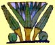 lotus image