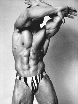 march07.gif (98620 bytes)