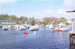 Perkin's Cove