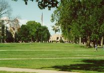 [banner photo]