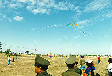 Kites Flying High