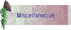 Miscellaneous