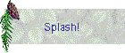 Splash!