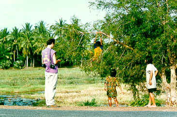 Out on a limb