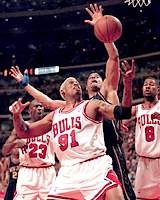 Dennis Rodman (Chicago Tribune Photo)