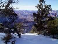 The Grand Canyon in Winter