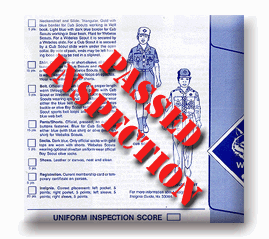Inspections Icon