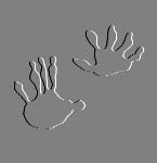 Opossum Prints!
