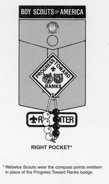 Details about / BSA CUB SCOUT INSIGNIA…WOLF PIN…1980 ERA...SMALL LETTERING