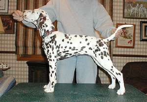 Betty at 3 1/2 months