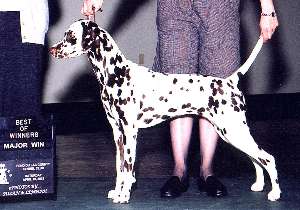 Rose winning her first major