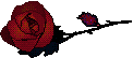rose4.gif - 2.3 K
