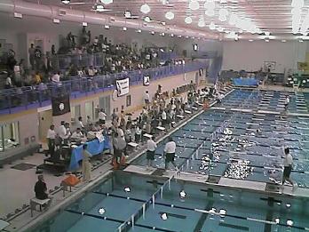 Brand new Prince George's Sports and Learning Center Pool - 3/30/2000