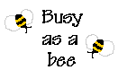 busy as a bee