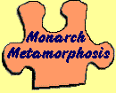 Monarch Metamorphosis