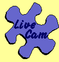 Live Cam