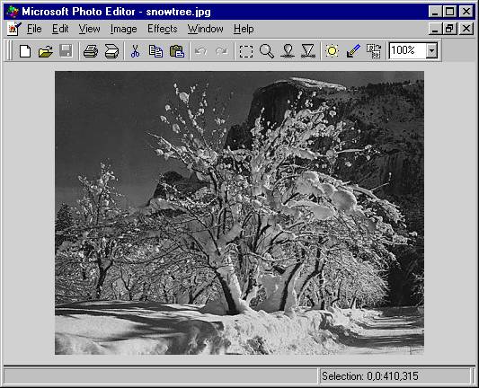 Microsoft Photo Editor with snowtree.jpg