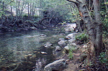 Our Riverside campsite!