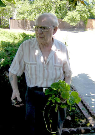 The never ending task of sprucing-up the garden. Dad says it keeps him busy every day.