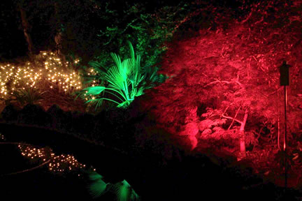Papa Al's Garden at night