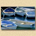 David Jones Photography