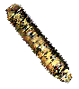 Click this Mezuzah