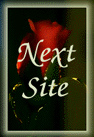 Next site