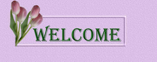 Welcome