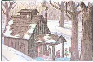 House in the woods