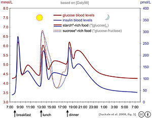 The idealised diagram shows the fluctuation of blood sugar (red) and the sugar-lowering hormone insulin (blue) in humans during the course of a day containing three meals. In addition, the effect of a sugar-rich versus a starch-rich meal is highlighted.