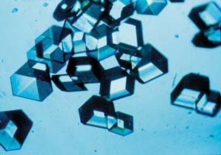 Image:Insulincrystals.jpg