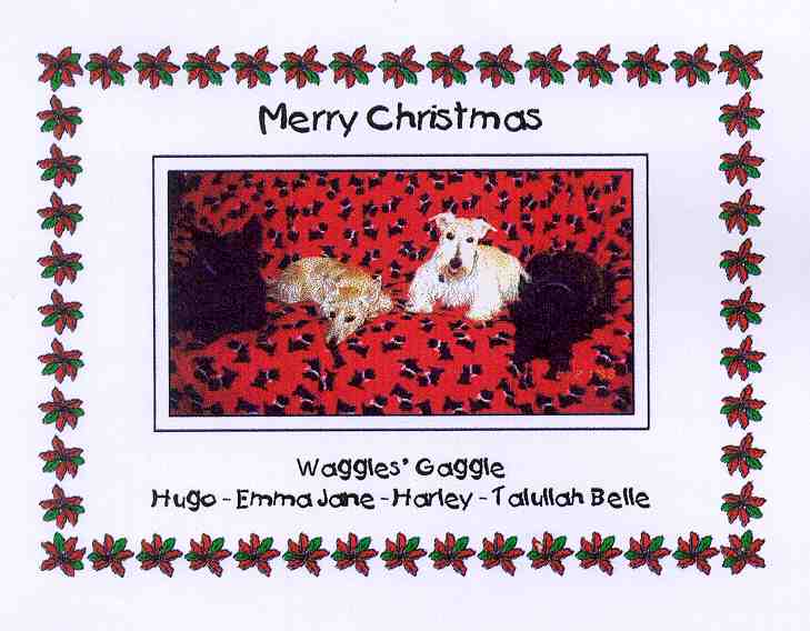 card