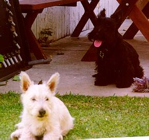 Nellie&Joey