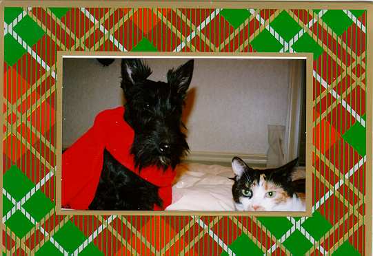 card